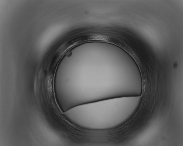 X0000090441487200707131019