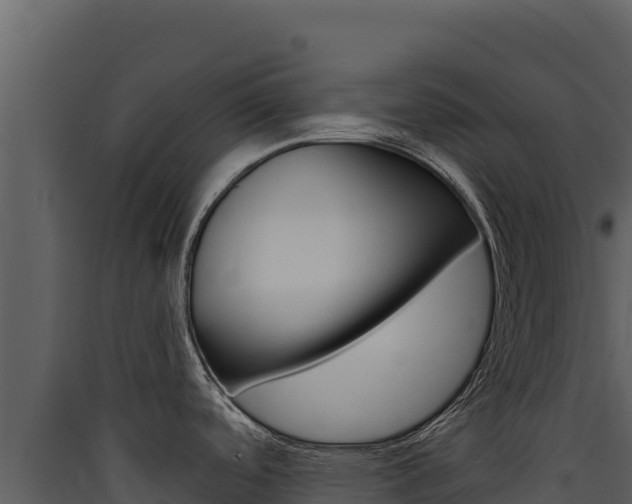 X0000090441488200707131019