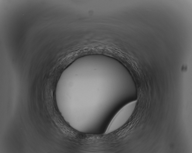 X0000090441489200707131018