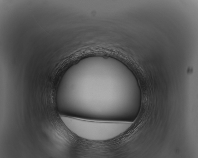 X0000090441490200707131018