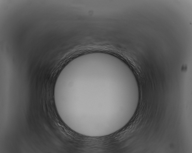 X0000090441492200707131018