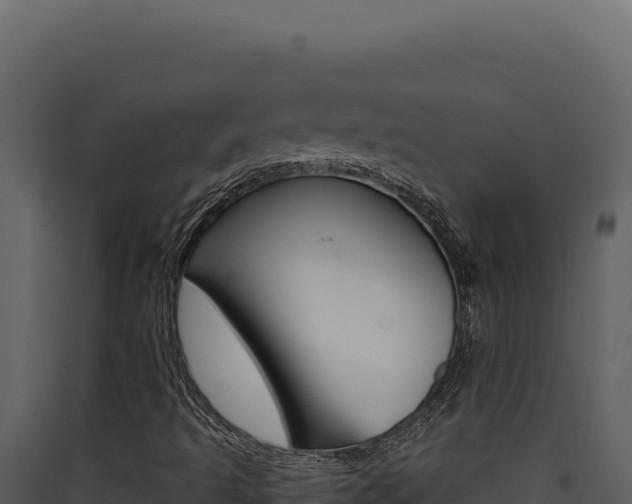 X0000090441493200707131018