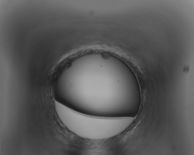 X0000090441494200707131018