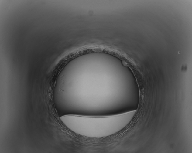 X0000090441495200707131018