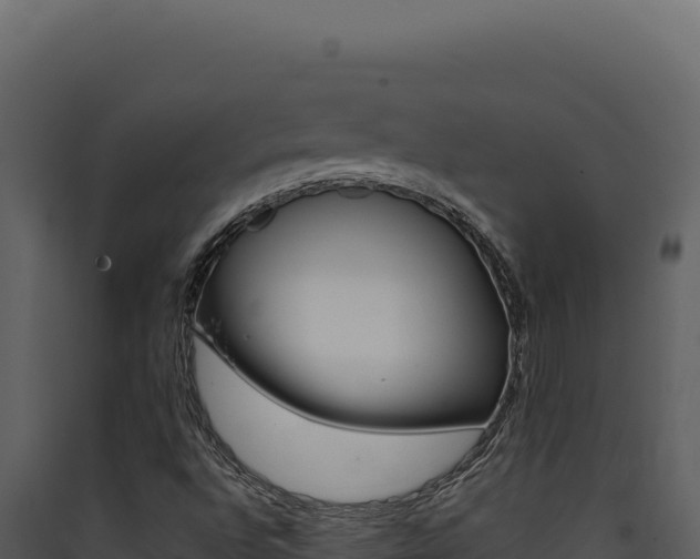 X0000090441496200707131018
