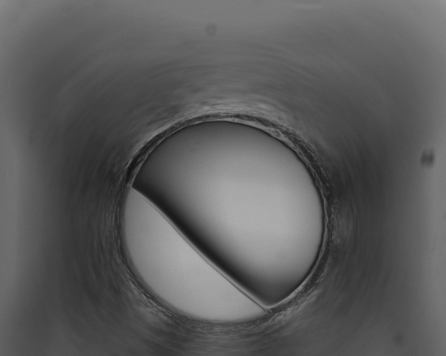 X0000090441497200707131018