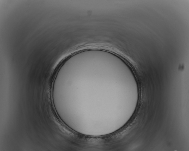 X0000090441498200707131018