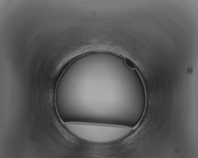 X0000090441499200707131018
