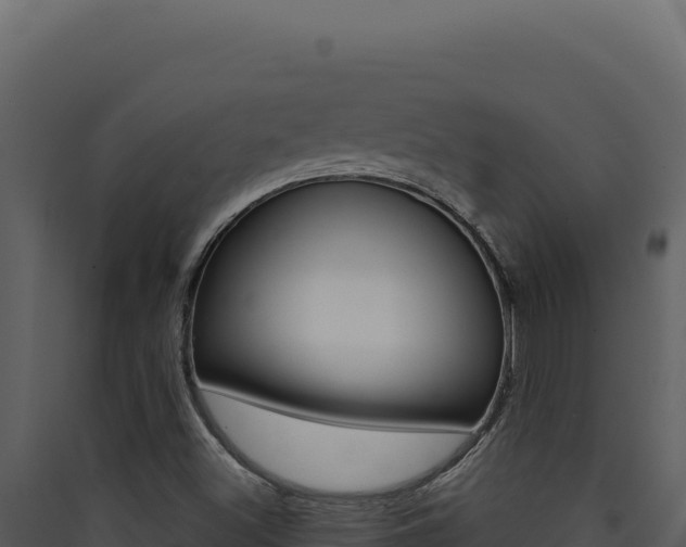 X0000090441500200707131018