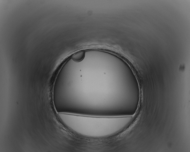 X0000090441501200707131018