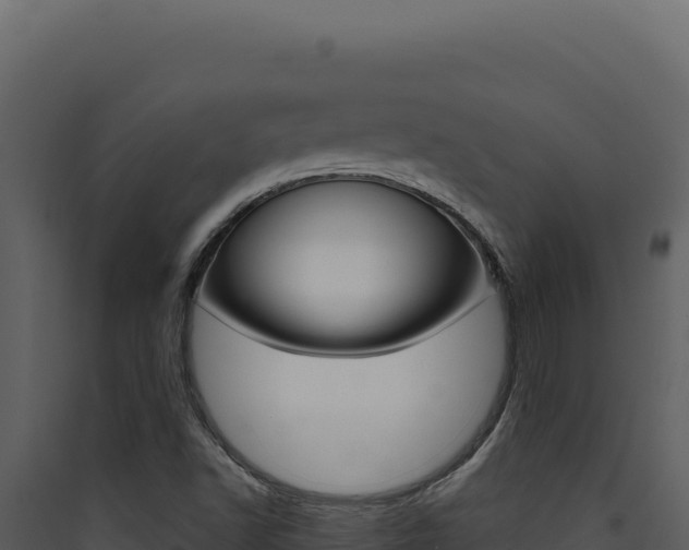 X0000090441502200707131018