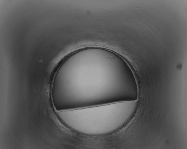 X0000090441503200707131018