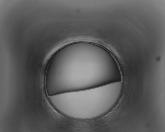 X0000090441504200707131019