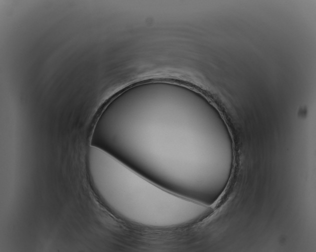 X0000090441505200707131019