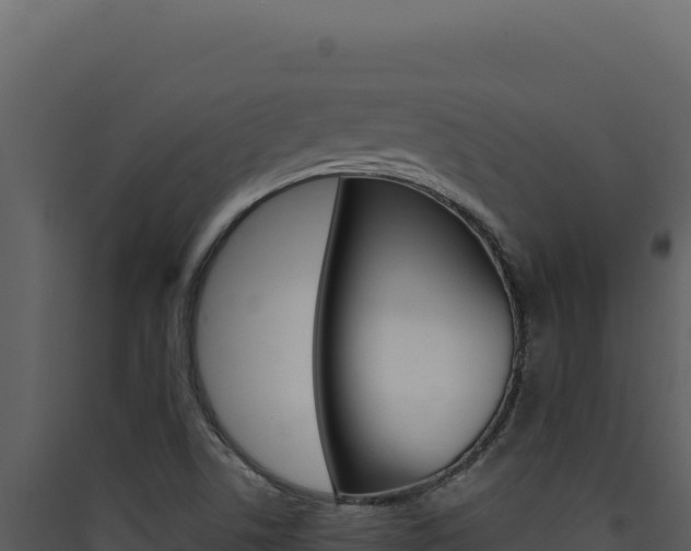 X0000090441506200707131019
