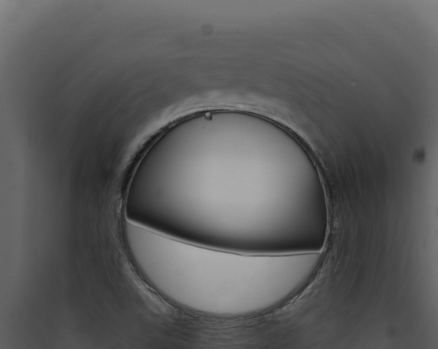 X0000090441507200707131019