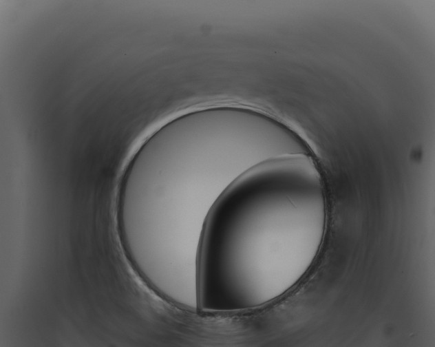 X0000090441508200707131019