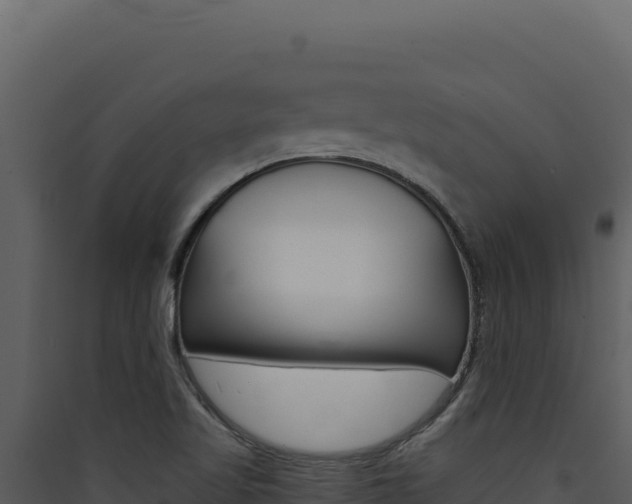 X0000090441509200707131019