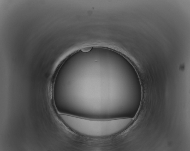 X0000090441510200707131019