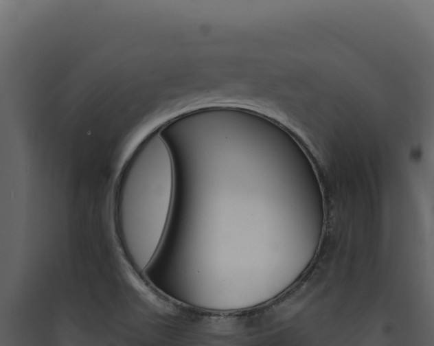 X0000090441511200707131019