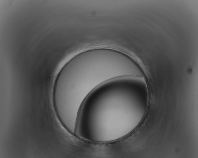 X0000090441512200707131019