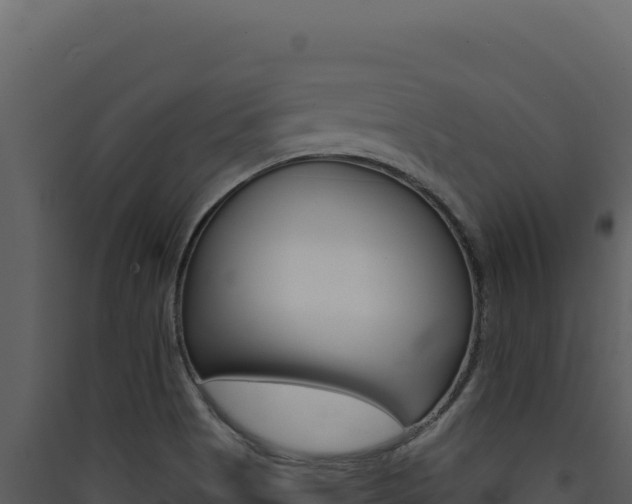X0000090441513200707131019