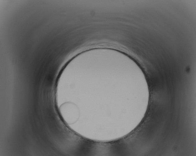 X0000090441514200707131019