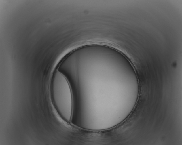 X0000090441515200707131019