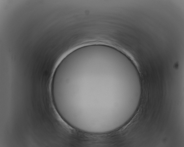 X0000090441516200707131019