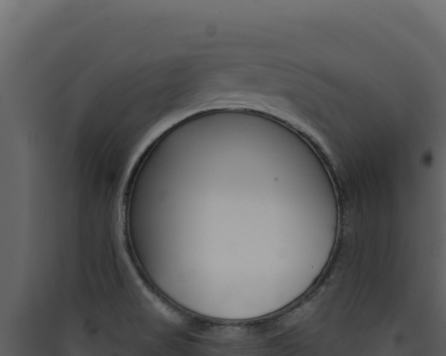 X0000090441517200707131019