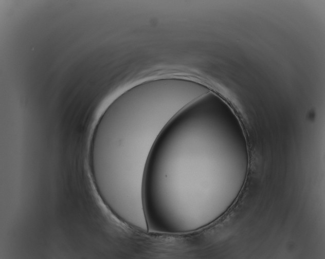 X0000090441520200707131019