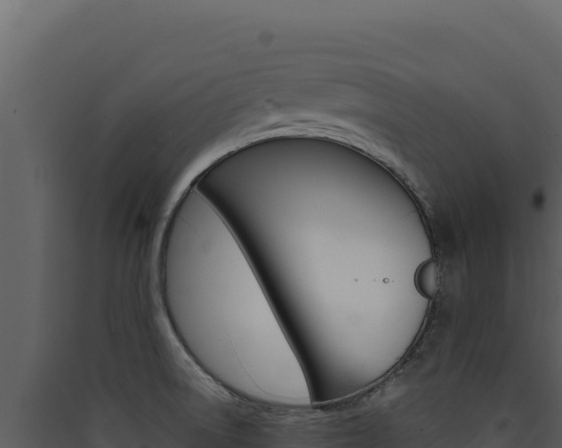 X0000090441522200707131019