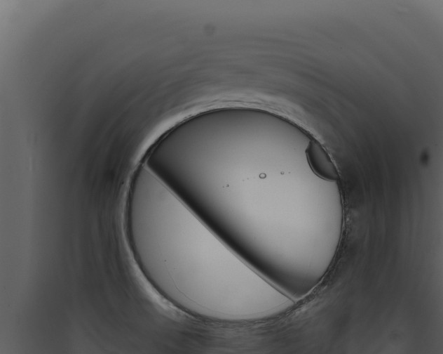 X0000090441523200707131019