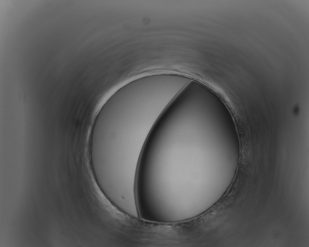 X0000090441524200707131019