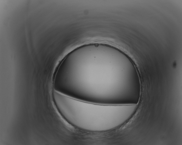 X0000090441525200707131019