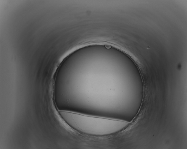 X0000090441526200707131019
