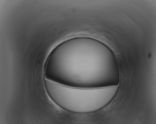 X0000090441527200707131019