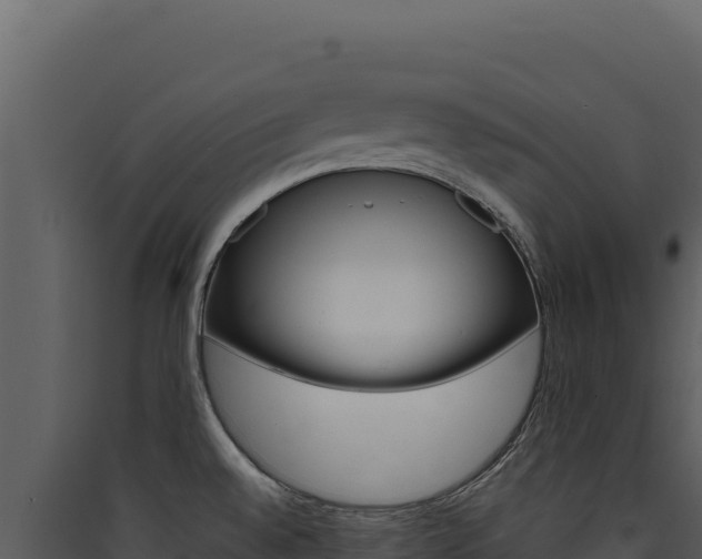 X0000090441528200707131019