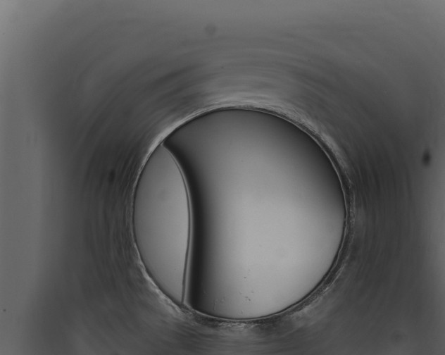 X0000090441529200707131019
