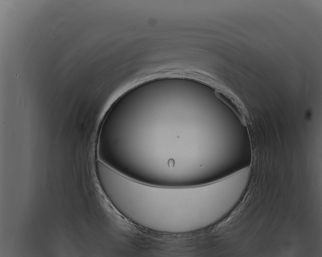 X0000090441530200707131019