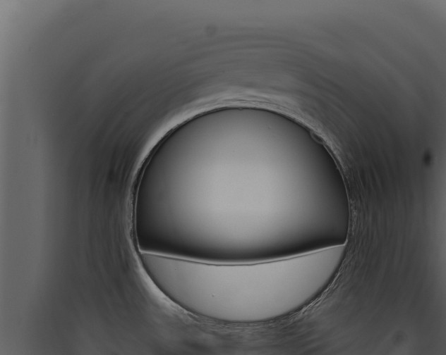 X0000090441531200707131019