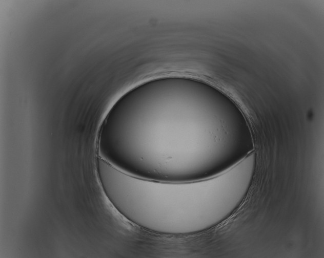 X0000090441532200707131019