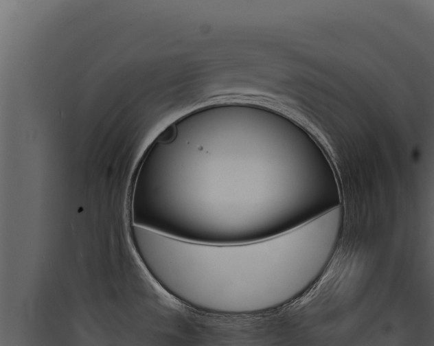 X0000090441533200707131019