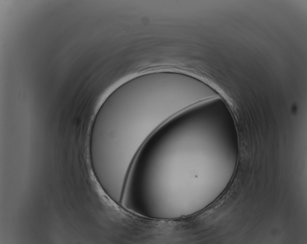 X0000090441534200707131019