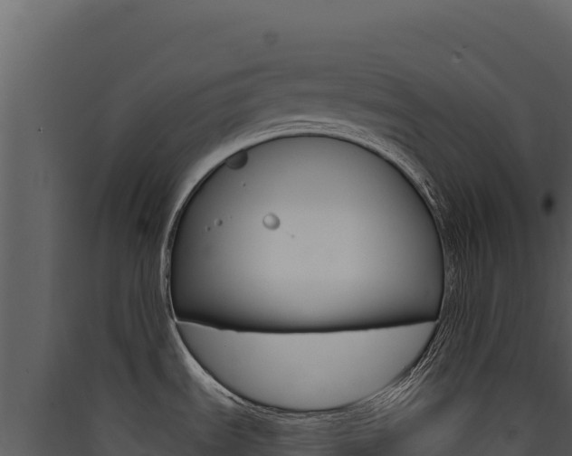 X0000090441535200707131019