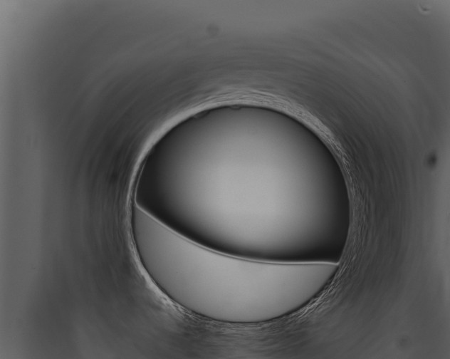 X0000090441536200707131019