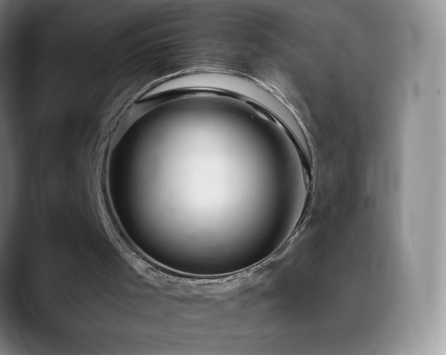 X0000090440001200707131228