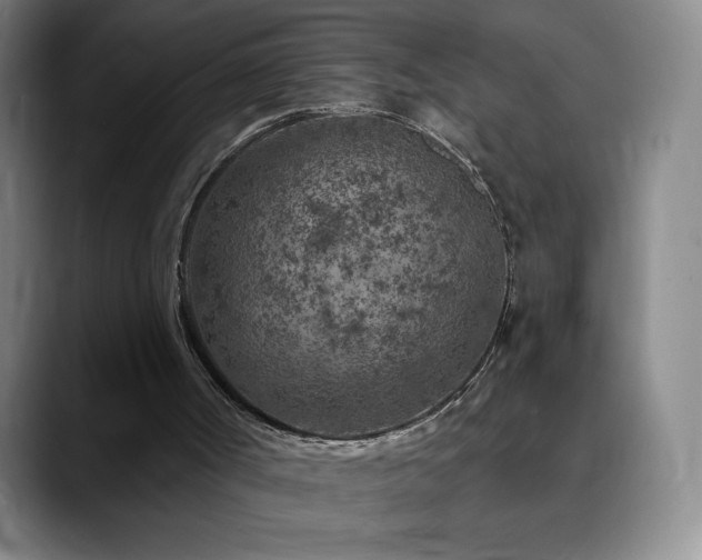 X0000090440002200707131228