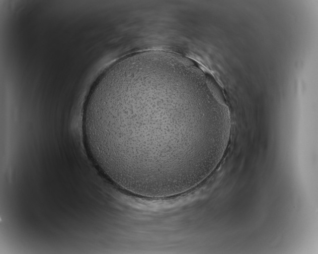 X0000090440006200707131228