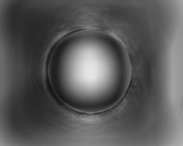 X0000090440008200707131228